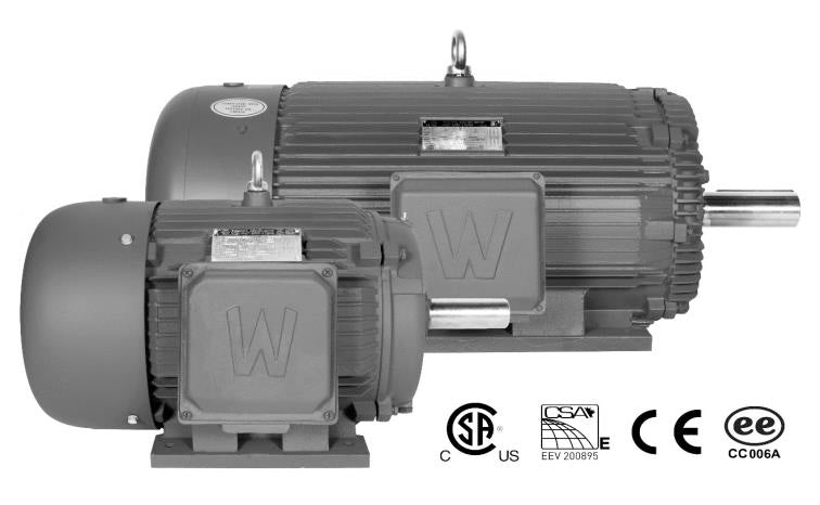 40 HP Three Phase Severe Duty Electric Motor